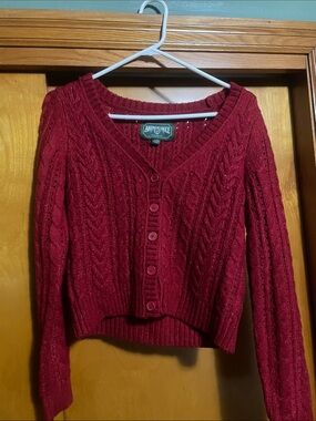 American Eagle Outfitters Deep Red Cable-Knit V-Neck Button Sweater